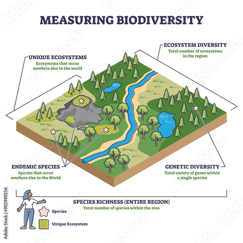 Measuring biodiversity in ecosystem or species at one region outline diagram, transparent background. Labeled educational biology richness expertise and variety control illustration.
