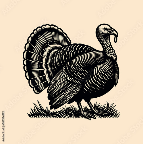Turkey poultry.  Emblem, vintage engraving vector illustration. Monochrome, black and white