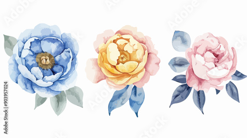Beautiful Watercolor Peonies, Roses, and Leaf Hand Drawing Illustration