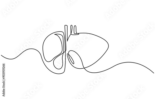Continuous one line drawing of human lungs. One line of anatomical human lungs. Medical internal concept continuous line art, Liver human organ drawn by one line. Anatomical sketch.