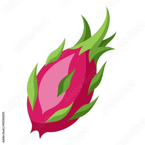 dragonfruit colorful fruit. Modern abstract flat style. Natural tropical fruit. Vector illustration