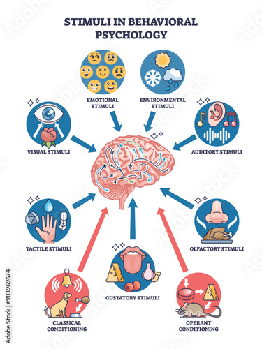Stimuli in behavioral psychology with brain feeling causes outline diagram. Labeled scheme with tactile, auditory or olfactory senses vector illustration. Classical and operant conditioning examples.