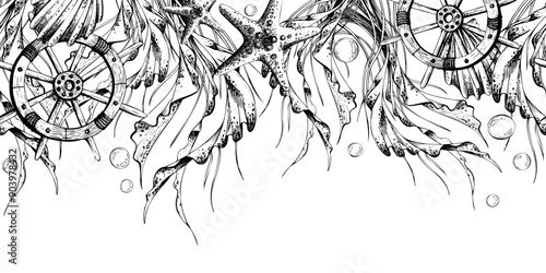 Starfish, seashells, ship s steering wheels, seaweed and bubbles. Marine illustration hand drawn line art graphics in black and white monochrome. Seamless border repeating pattern.