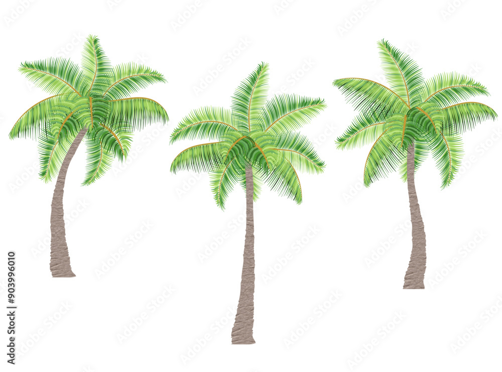Obraz premium tropical palm tree with green foliage vector illustration flat style isolated on white background