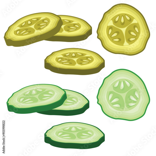 Vector image of cucumber slices. Concept of food and ingredients for cooking. Element for your design