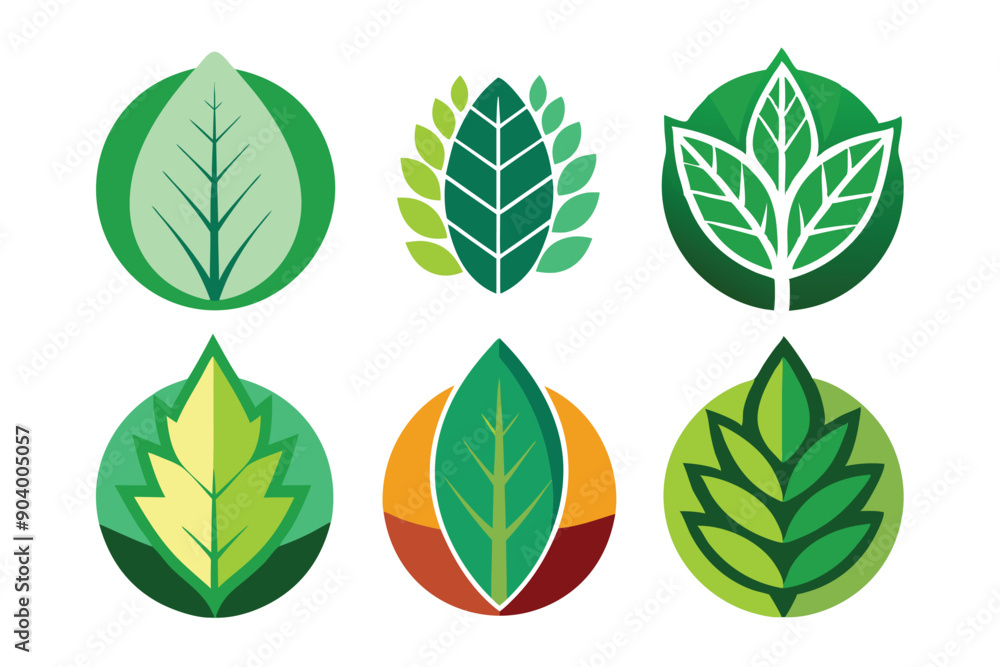 Obraz premium Adobe Illustrator Artwork