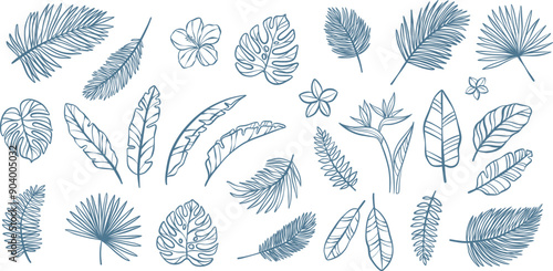 Tropical leaves line art vector illustration set, hand drawn foliage doodles, line design elements, exotic summer botanical collection, insulated