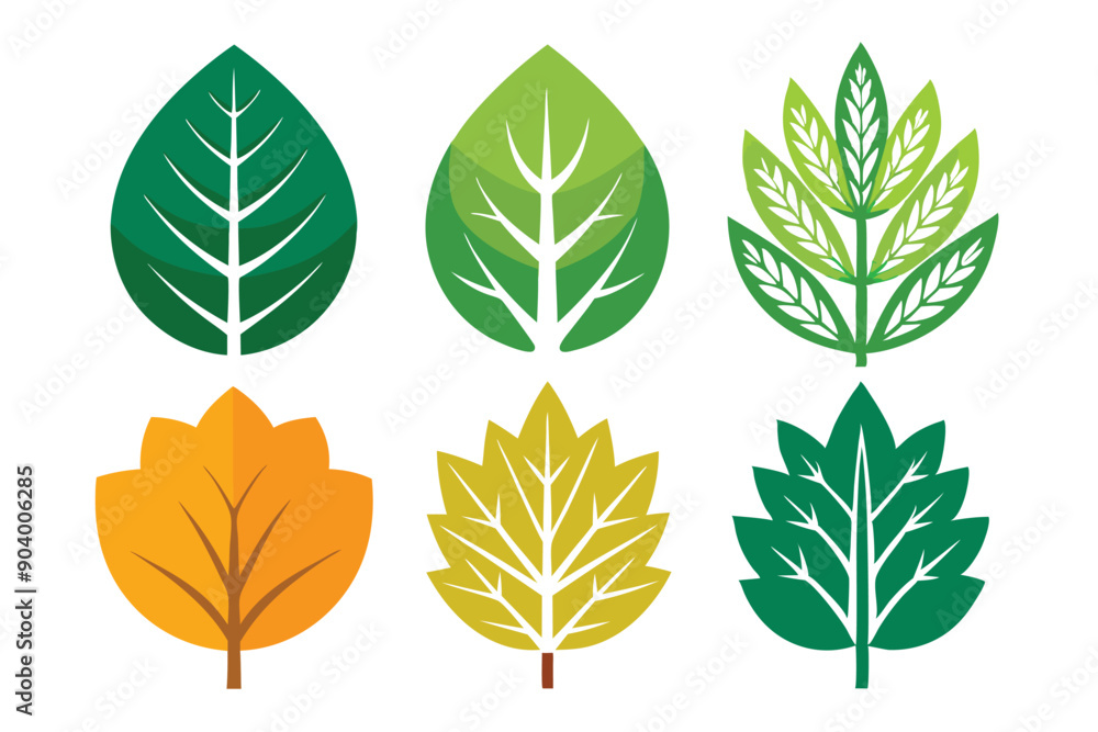 Obraz premium Adobe Illustrator Artwork