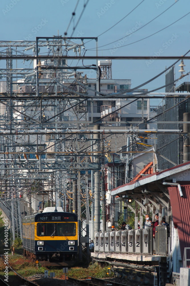 Fototapeta premium 東急池上線をのんびりと走る東急1000系「きになる電車」編成_2022/11/12撮影