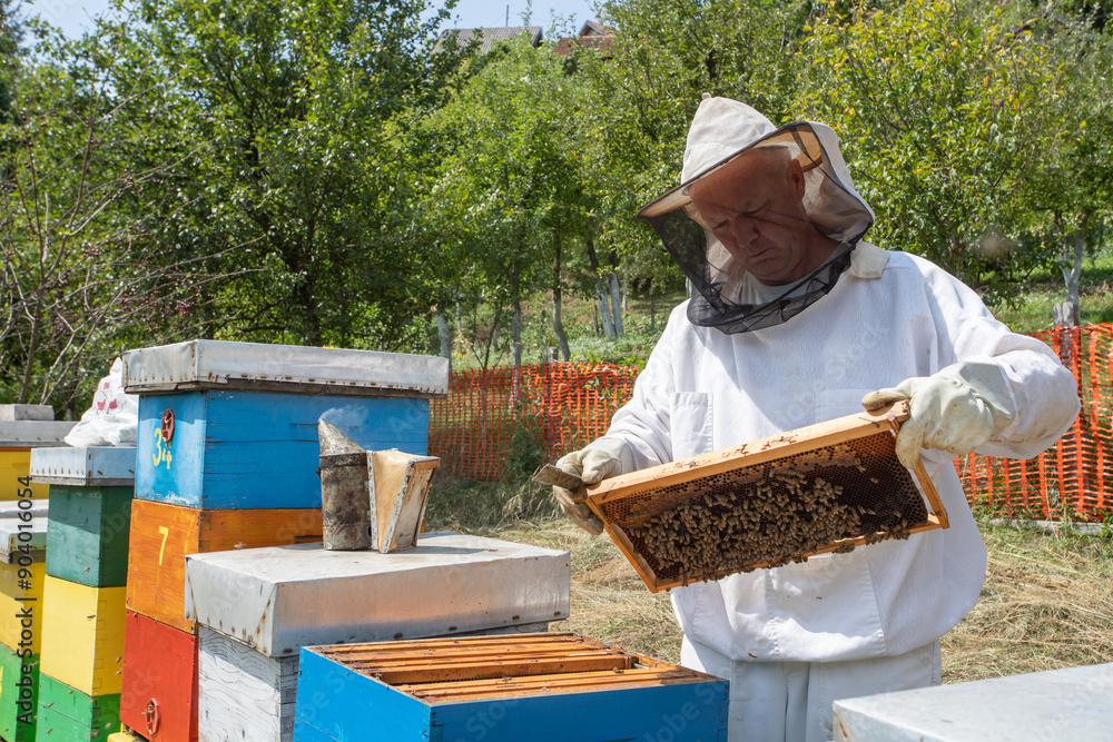 Beekeeper working on a beehive Beekeeper working on a beehive