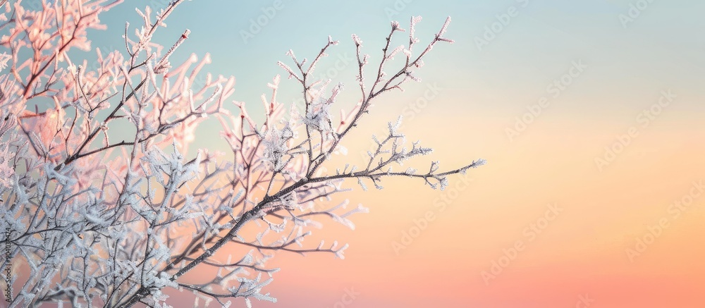Winter dawn showcases bare tree branches coated with glittering white frost under a stunning sunset with a peaceful ambiance perfect for a copy space image Winter dawn showcases bare tree branches coated with glittering white frost under a stunning sunset with a peaceful ambiance perfect for a copy space image