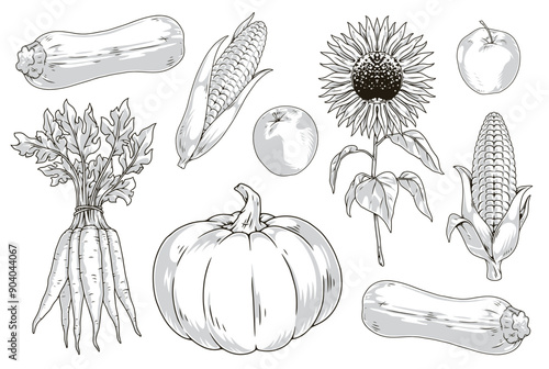 Vegetables and fruits set monochrome