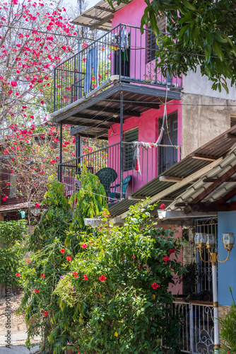 Colorful pink house covered by red hibiscus flowers in San Juan del Sur coastal town on the Pacific Ocean in southwest Nicaragua. photo