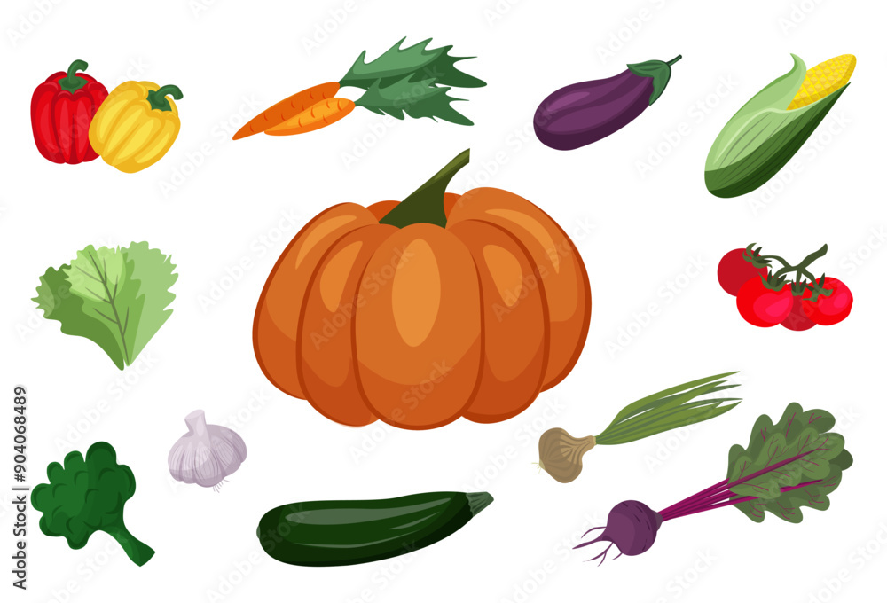 Harvest festival. Autumn vegetables set. Gardening, farming, local food market. Garlic, pumpkin, corn, zucchini, beet, carrot, onion, lettuce, tomato. Vector illustration on the white background Harvest festival. Autumn vegetables set. Gardening, farming, local food market. Garlic, pumpkin, corn, zucchini, beet, carrot, onion, lettuce, tomato. Vector illustration on the white background