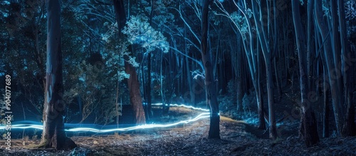 Nighttime forest photography with light painting creating a captivating image with copy space