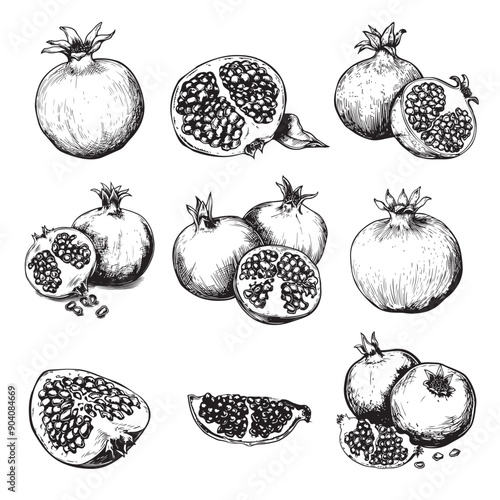 Set of pomegranates vector illustrations - hand drawn pomegranates  - black and white pomegranatess isolated on white background