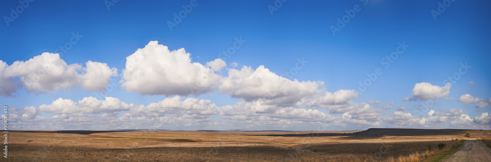Summer landscape with withered grass field, sunny blue sky and clouds. Summer landscape with withered grass field, sunny blue sky and clouds.