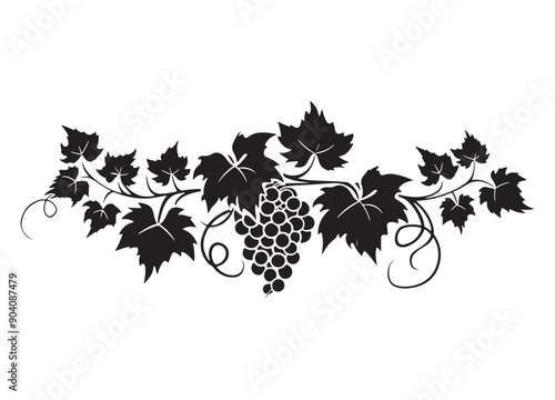 Vine vector design isolated on white background - black and white vine