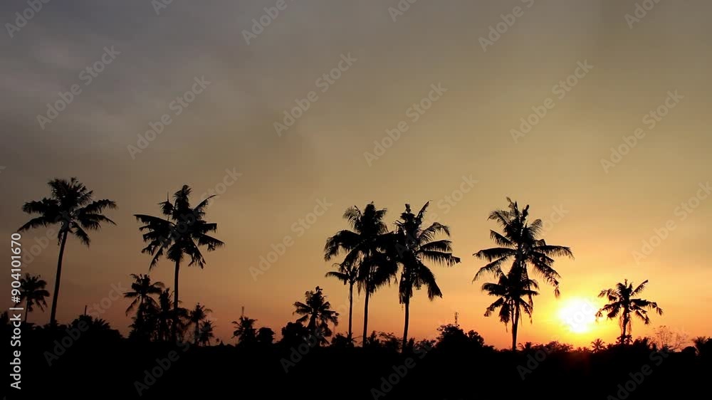 the sunsets behind the coconut trees the sunsets behind the coconut trees