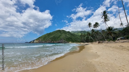 Venezuela perfect landscape waterfall beach