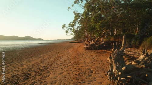 Playa de Laredo con arboles sobre la arena al atardecer a vista de dron
