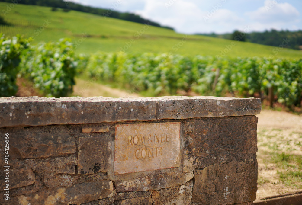 Romanée Conti vineyards in Burgundy, France Romanée Conti vineyards in Burgundy, France