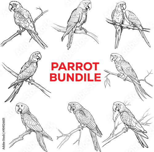 Intricate Parrot Bundle Coloring Page for Kids and Adults photo