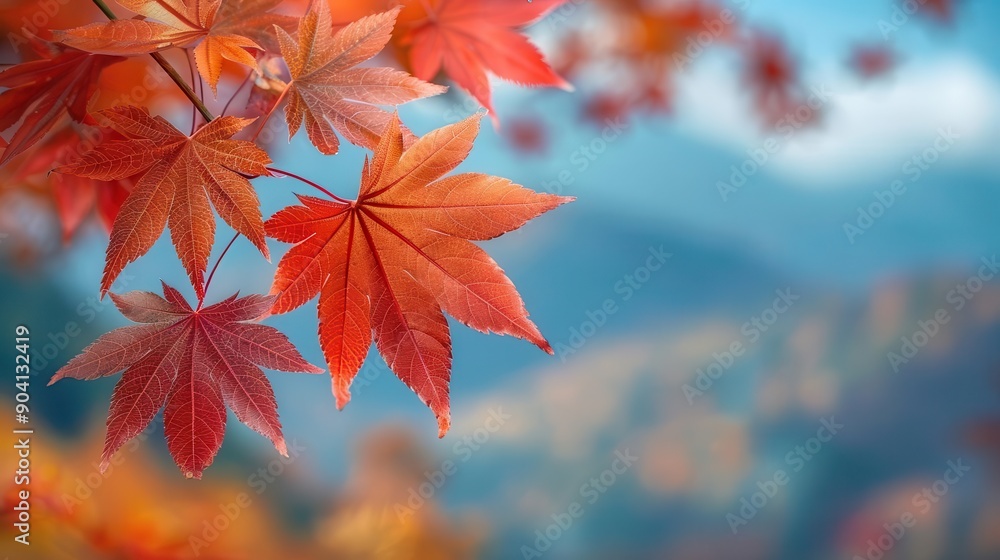 Red maple leaves with intricate detail, botanical background close up, autumn day, vibrant, manipulation, mountain trail, copy space for text Red maple leaves with intricate detail, botanical background close up, autumn day, vibrant, manipulation, mountain trail, copy space for text