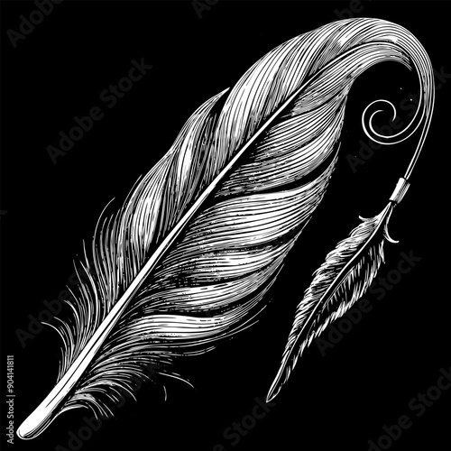 A feather is drawn in black and white