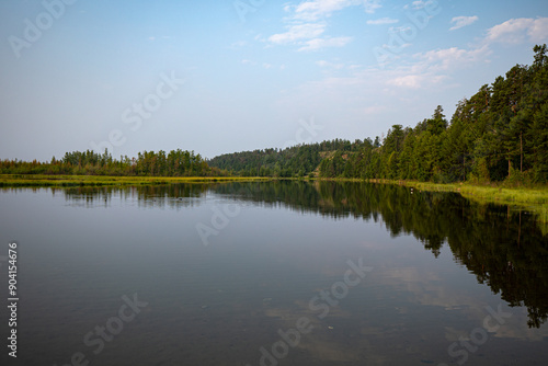 The Serene Reflection of Trees Majestically Mirrored in Calm, Still Water Surfaces