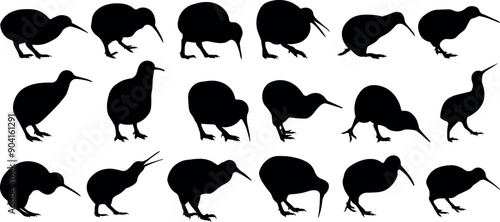 Kiwi bird silhouette vector illustration set