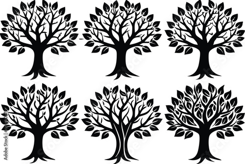 Six Black Silhouettes of Trees with Different Branch Structures and Leaf Arrangements