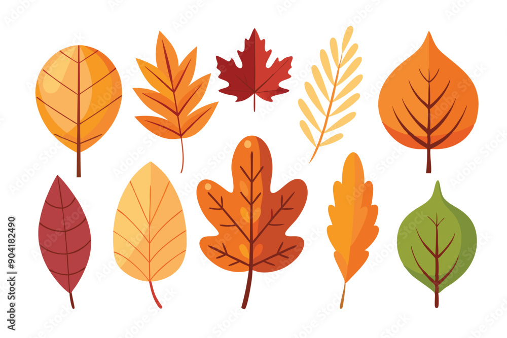 Fototapeta premium A Collection of Ten Colorful Autumn Leaves