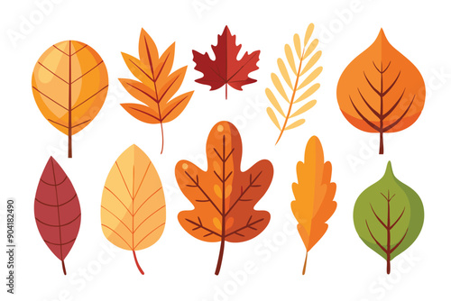 A Collection of Ten Colorful Autumn Leaves