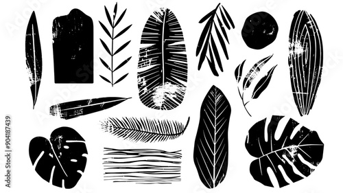 Nature plants shapes leaves trees branches nature concept, linocut, doodle. Vector separated isolated on transparent background