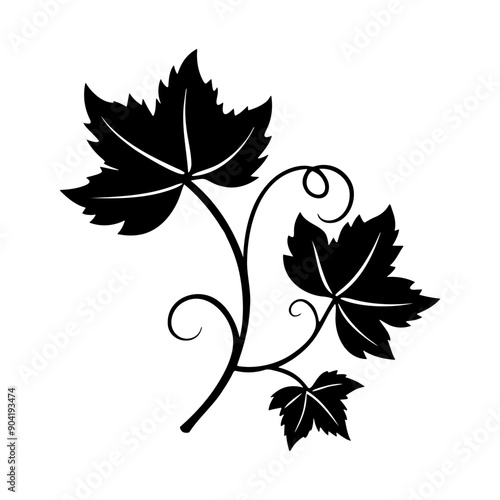 Silhouette of grapevine on white background.