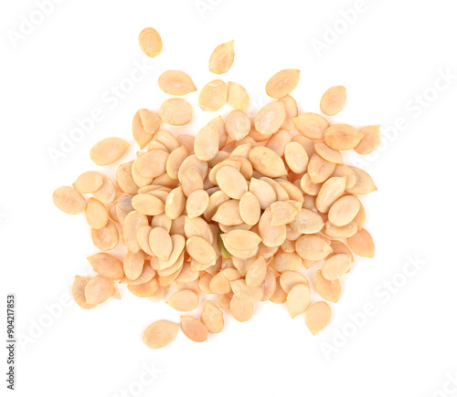 watermelon Seed isolated on white background