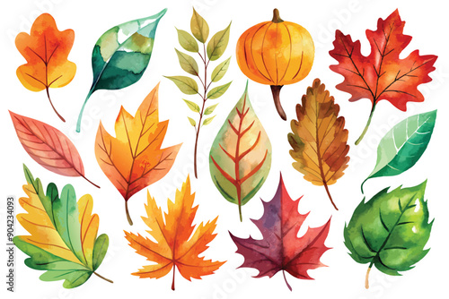 Watercolor Autumn Leaves and Pumpkin Collection