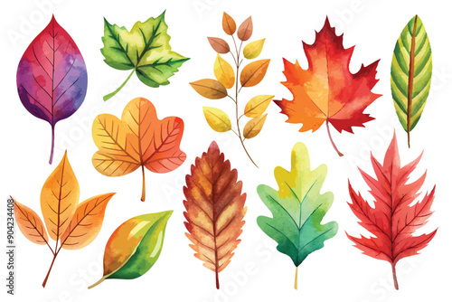 Watercolor Illustration of Assorted Autumn Leaves