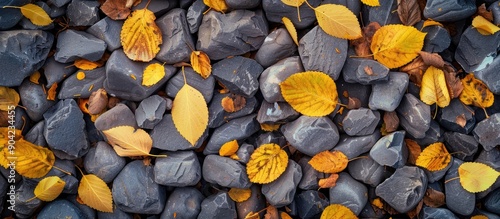 Top view of small grey stones scattered on the ground with yellow leaves giving a textured appearance in a copy space image photo