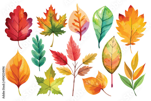 Watercolor Illustration of Various Colorful Autumn Leaves