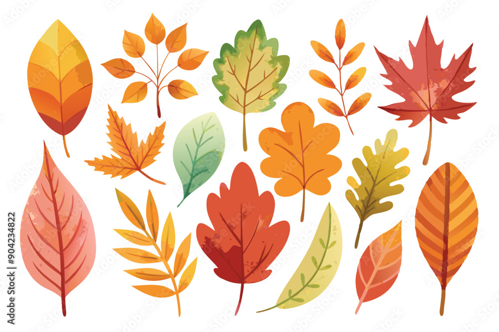 Collection of Autumn Leaves in Various Shapes and Colors Collection of Autumn Leaves in Various Shapes and Colors