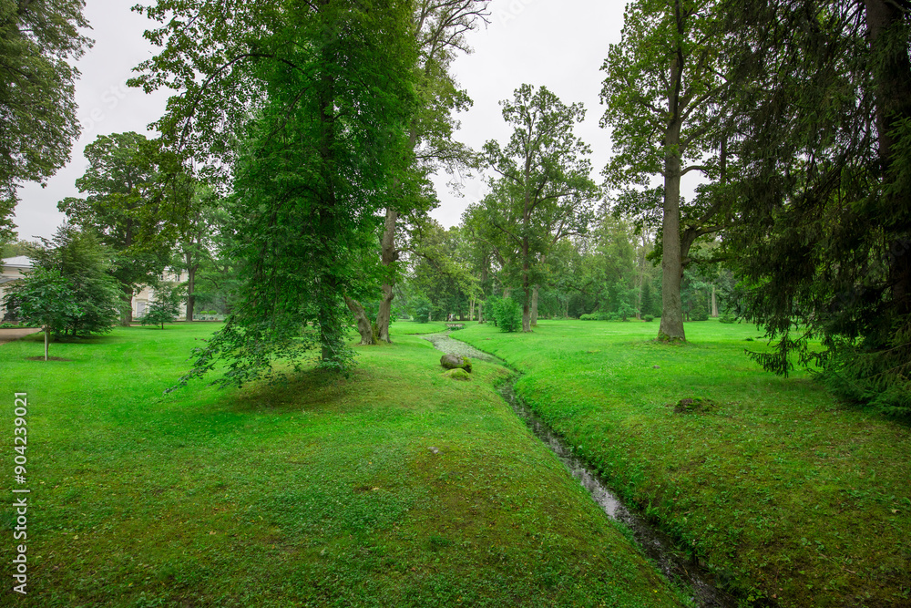 A serene environment features vibrant green grass, towering trees, and a gentle stream weaving its way through the landscape at dawn. A serene environment features vibrant green grass, towering trees, and a gentle stream weaving its way through the landscape at dawn.