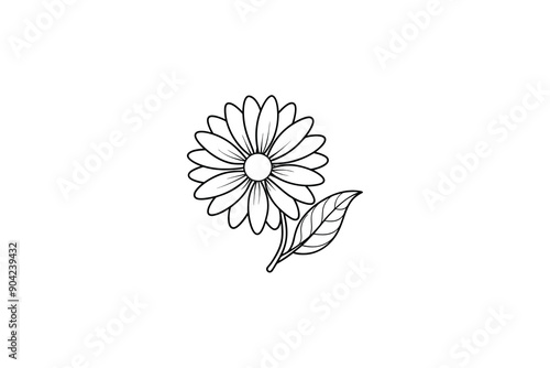 Daisy Flower Outline for design element and coloring book pages for kids