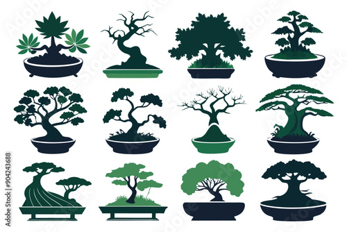 A Collection of Bonsai Trees in Various Styles and Stages of Growth