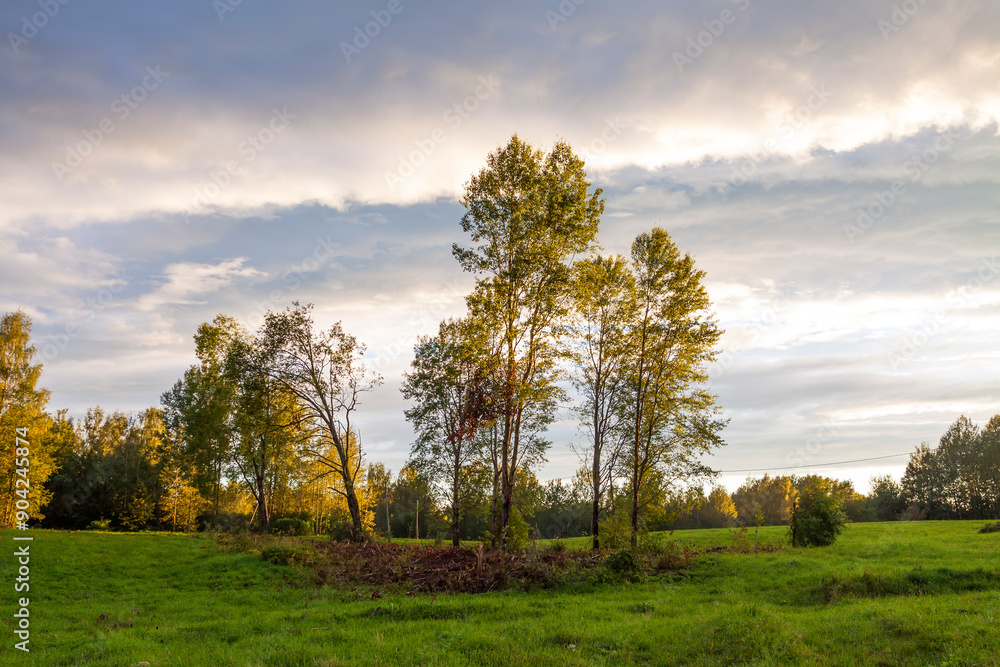 Summer landscape in countryside in Latvia. Summer landscape in countryside in Latvia.