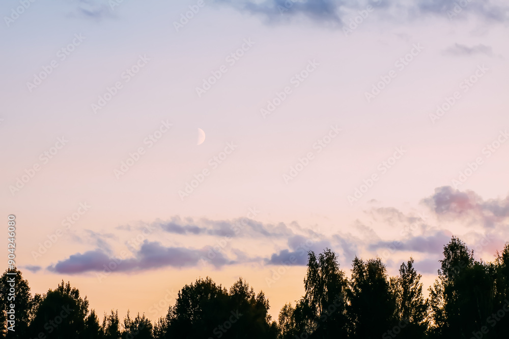 Fototapeta premium Summer landscape in countryside in Latvia.