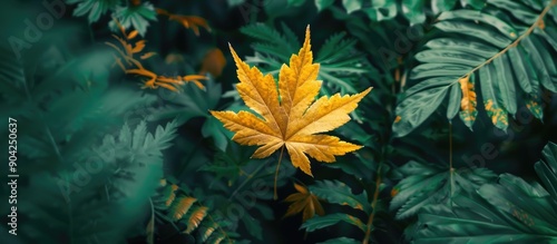 Early Autumn vibes with a stunning yellow maple leaf contrasting against the lush greenery representing the seasonal transition with a vivid copy space image photo