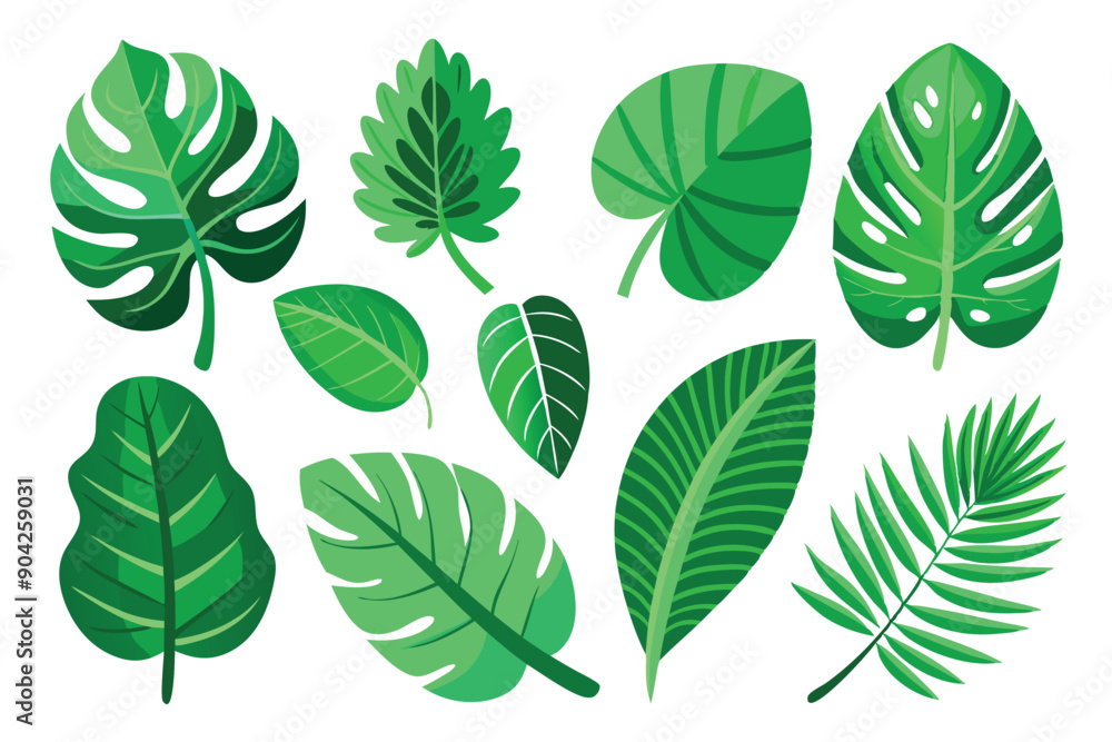 Obraz premium Collection of Green Tropical Leaves Isolated on White Background