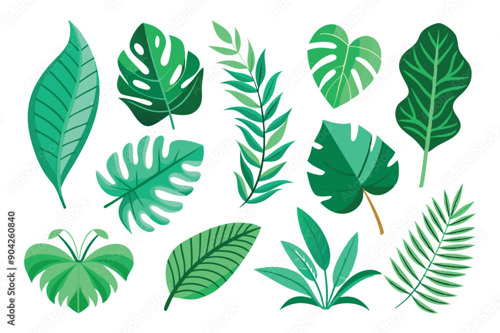 Collection of Green Tropical Leaves with Various Shapes and Textures Collection of Green Tropical Leaves with Various Shapes and Textures
